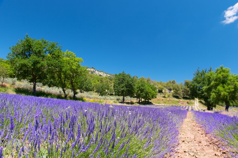 camping concerto vente de camping