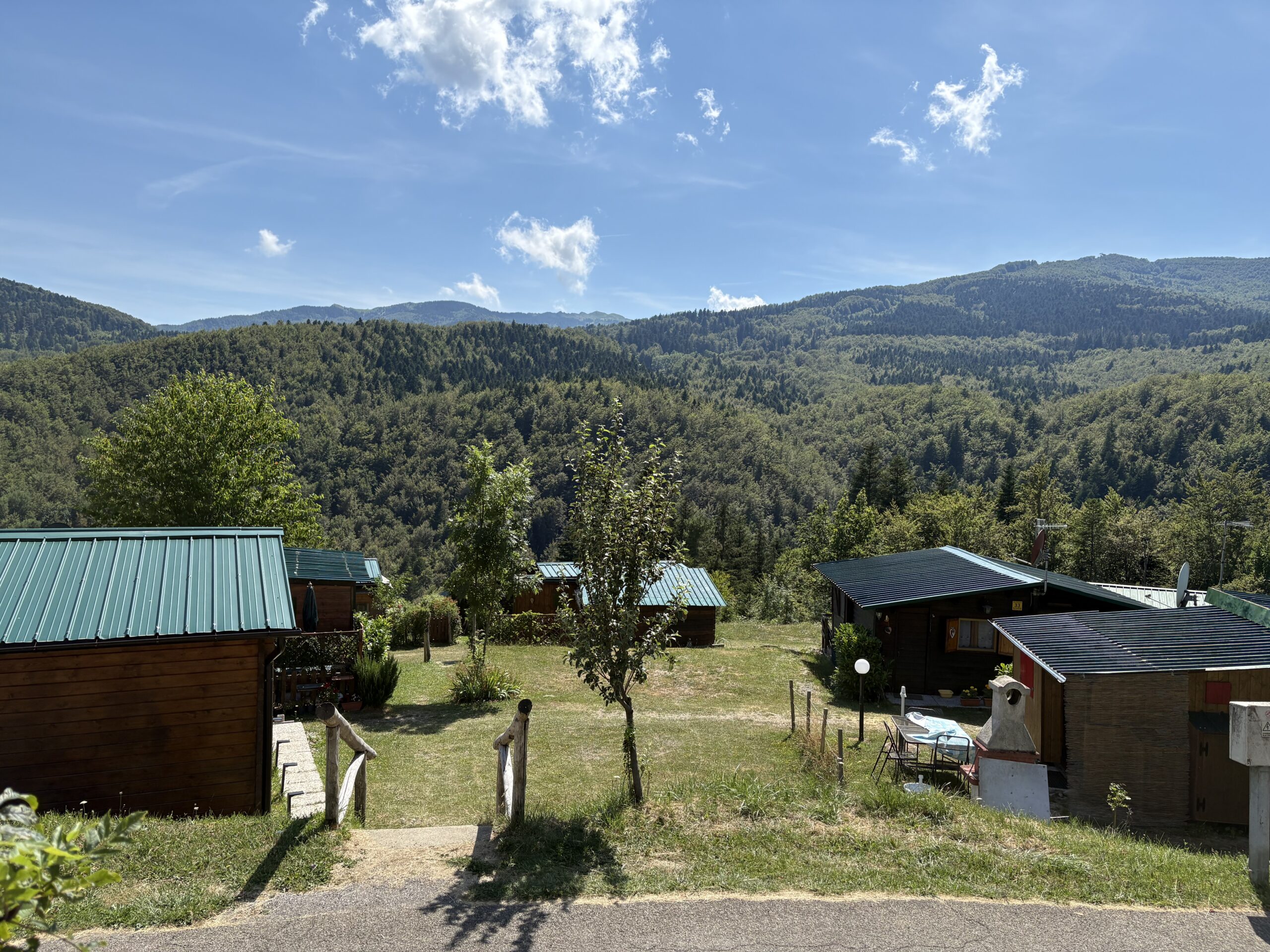IMG 4665.Bucaneve